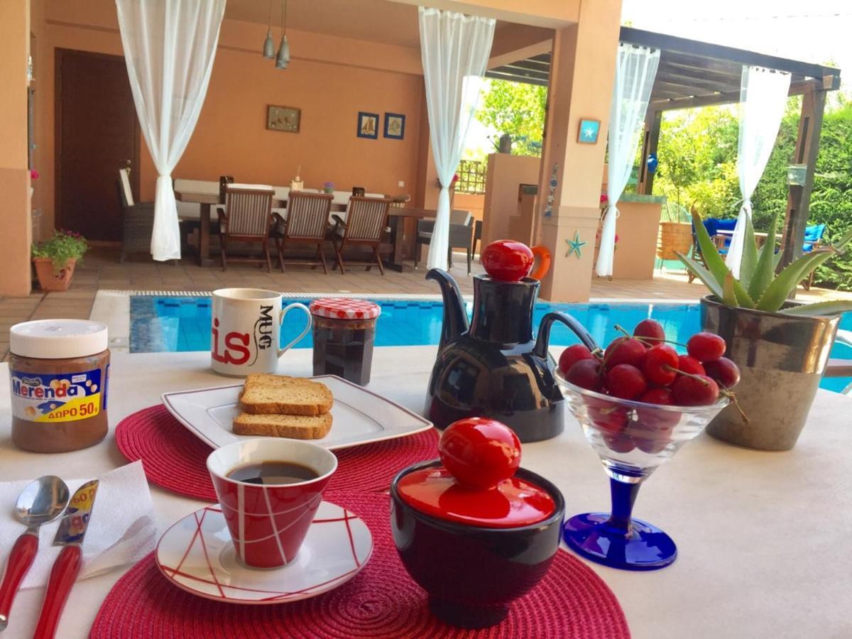 4-Seasons Pool Villa Near Meteora Tríkala Екстериор снимка